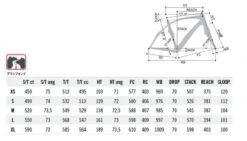 Carrera Phibra NEXT Custom Racefiets -Professionele Winkel Voor Fietsaccessoires 2019 carrera phibranext 02 geo 4