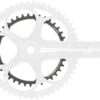 Campagnolo® Campagnolo Superrecord 11sp Kettingblad-34T -Professionele Winkel Voor Fietsaccessoires 39tsr 1