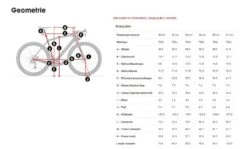 Trek Checkpoint ALR 5 Driftless Disc 5 Trek Checkpoint ALR 5 Driftless Disc -Professionele Winkel Voor Fietsaccessoires 5268086 geo 1