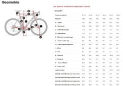 Trek Domane SL 5 Disc -Professionele Winkel Voor Fietsaccessoires 5270410 medium geo