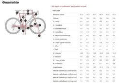 Trek Domane SL 6 Disc -Professionele Winkel Voor Fietsaccessoires 5274926 geo 2