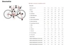 Trek Domane SLR 7 Disc -Professionele Winkel Voor Fietsaccessoires 5279273 geo 2