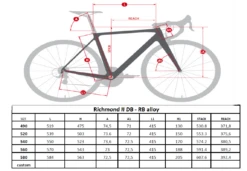Massini Richmond II Frameset -Professionele Winkel Voor Fietsaccessoires georichmondii 2