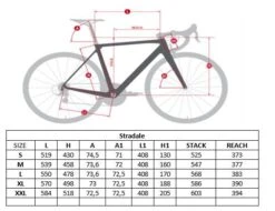 Massini Stradale Disc Frameset -Professionele Winkel Voor Fietsaccessoires massinistradale geo 1